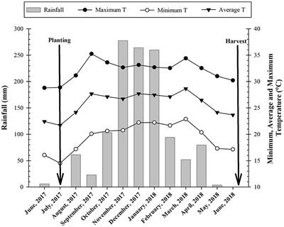 Inoculation With Growth-Promoting Bacteria Associated With the Reduction of Phosphate Fertilization in Sugarcane